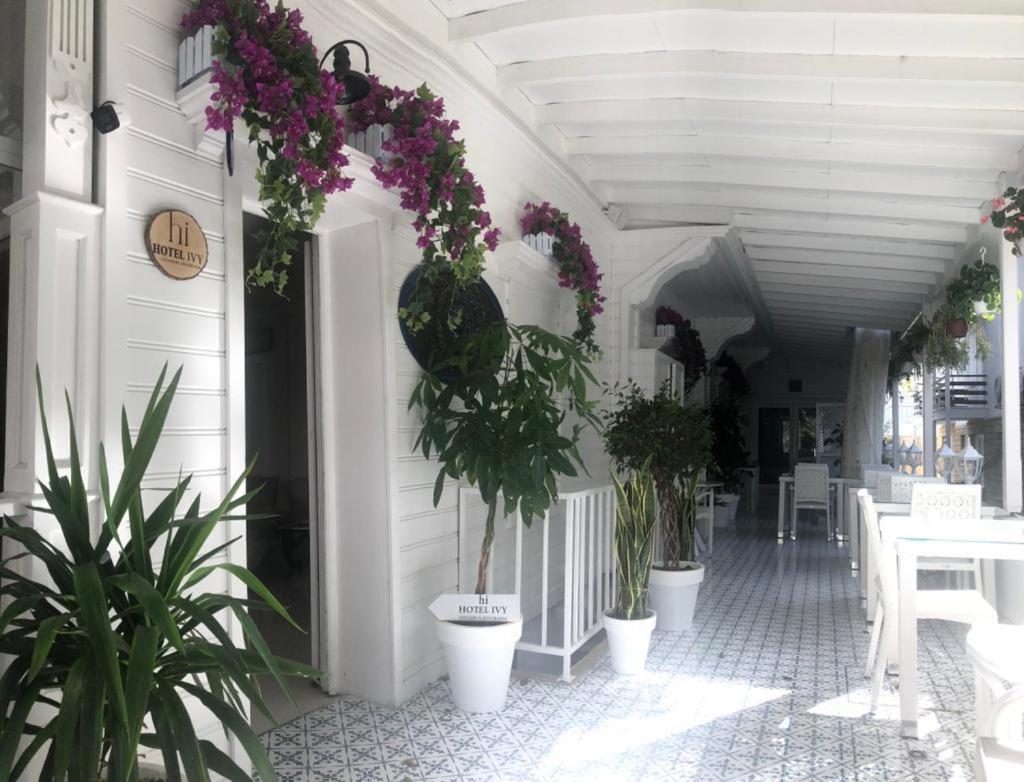 Hi Hotel Ivy Bueyuekada Adalar Zewnętrze zdjęcie